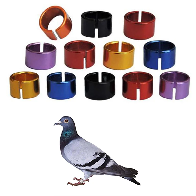 Pet Bird Rings 8mm Aluminium Birds Pigeon Leg Bands Outdoor Flying Training Identification Foot 6 Colors | Дом и сад