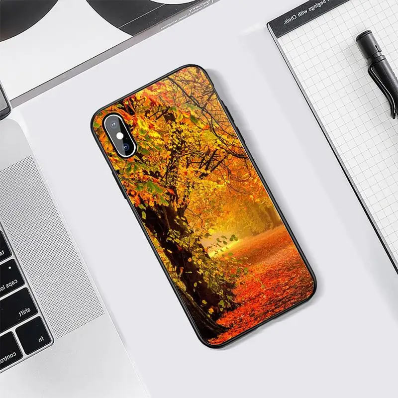 

Autumn Breeze Fallen leaves cover coque funda Phone Case Tempered glass For iphone 5C 6 6S 7 8 plus X XS XR 11 PRO MAX