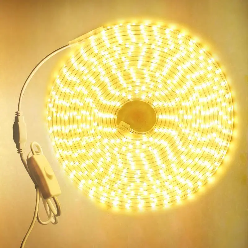 Светодиодная светильник та RGB лента 220 В 100 м свет SMD 5050 rgb 50 светодиодсветильник