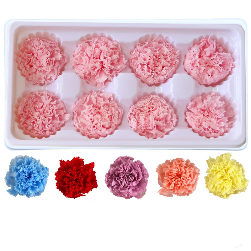 

Dekoration Handmade Preserved Fresh Flowers Gift Pack Artificial Flower Eternal Carnation Heads for Mother's Day Gift Home Decor