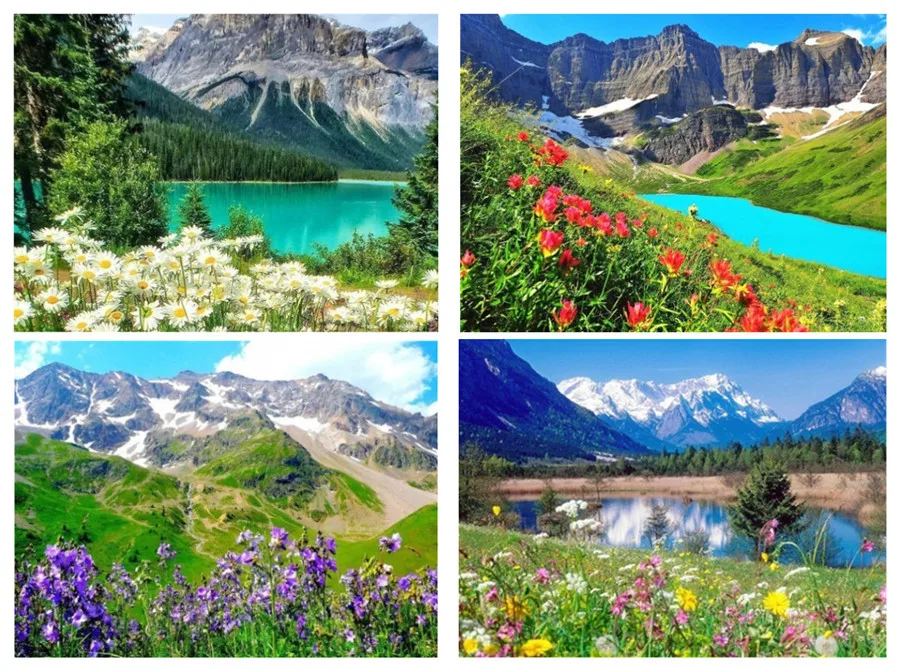 Алмазная вышивка крестиком пейзаж поле Круглый Алмаз Картина 5D картина