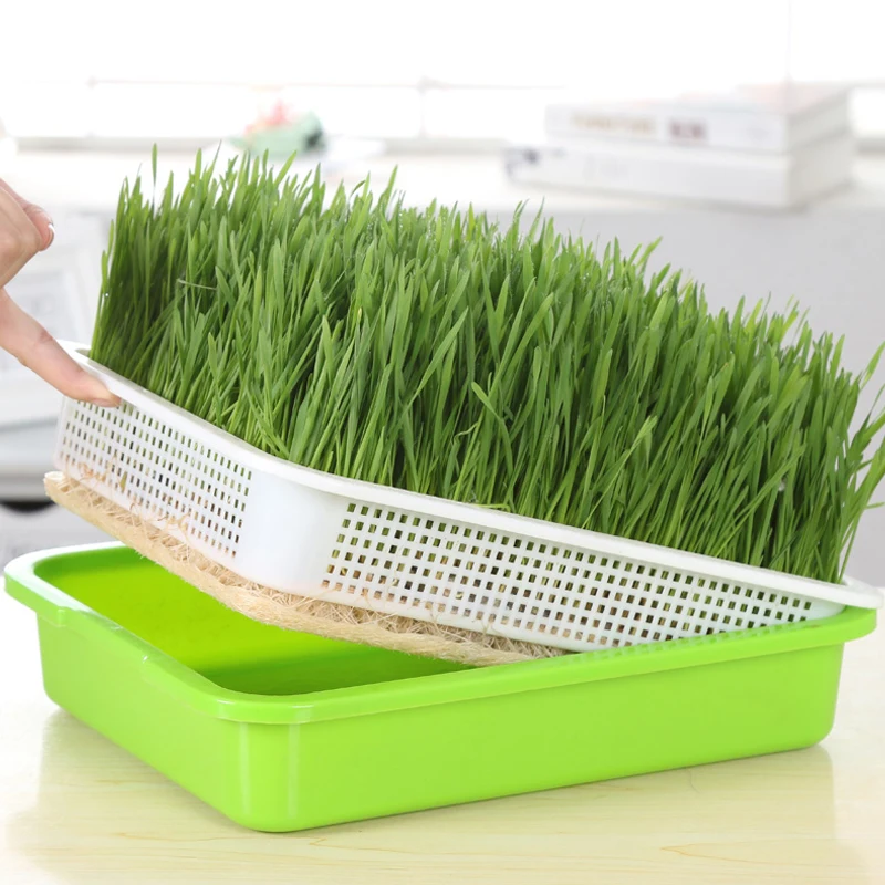 Вспениватель семян лоток без почвы большой емкости с крышкой саженец поднос