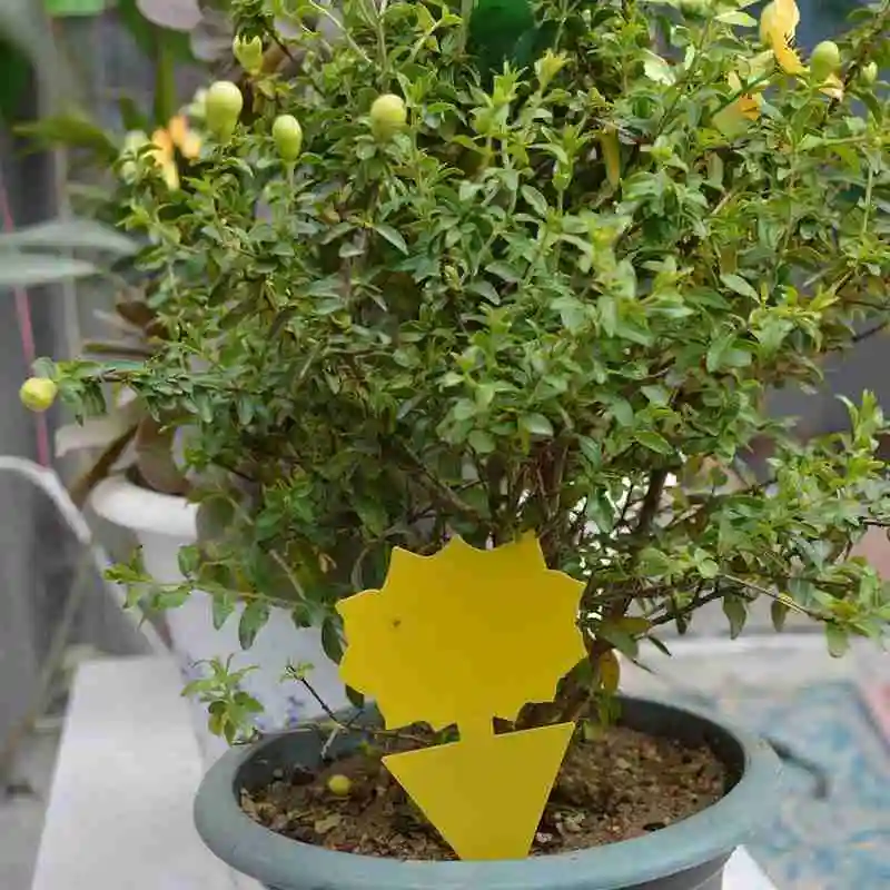 

Insect Stickers Double-sided Yellow Multi-flower Insect Yellow Board Gardening Fly Butterfly Trap Trap Mosquito M8M6
