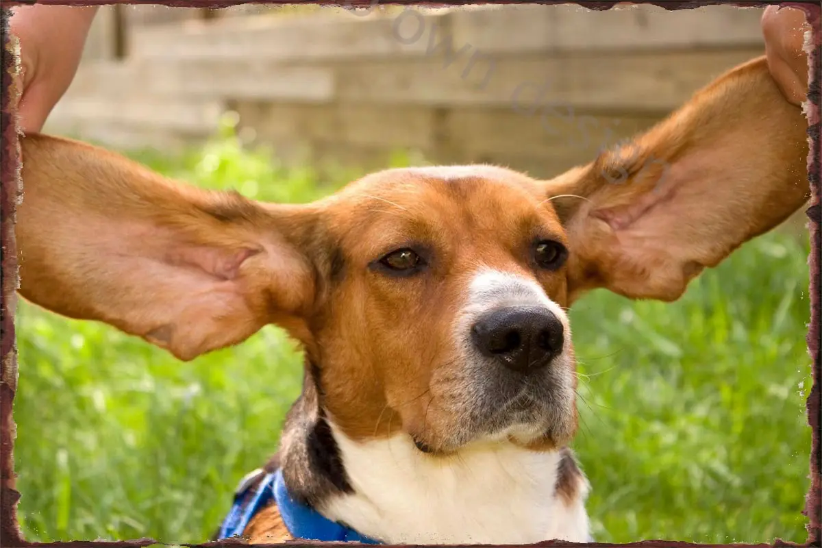 

Жестяные таблички с большими ушками, декор для стен в стиле ретро, винтажный металлический знак для творчества, дома, клуба, мужской пещеры, ...