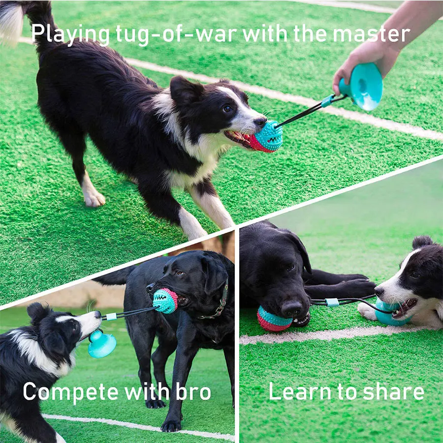 Присоска Tug Dog Toy с присоской Push эластичные веревки для чистки зубов домашних