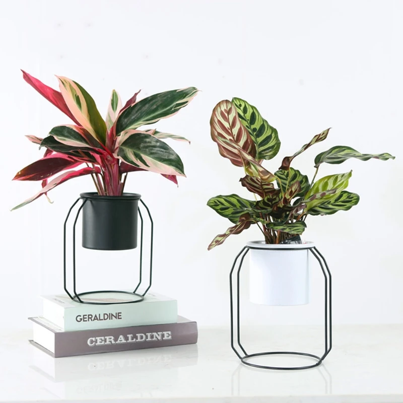 Y1UU металлическая подставка для растений с железным держателем цветочных горшков