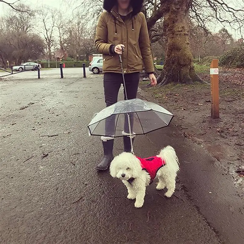 Paraguas para mascotas, accesorio transparente y &uacute;til, accesorio para mascotas peque&ntilde;as, equipo de lluvia, Gu&iacute;a para perros que mantiene la lluvia seca y c&oacute;moda, para el aire libre-0