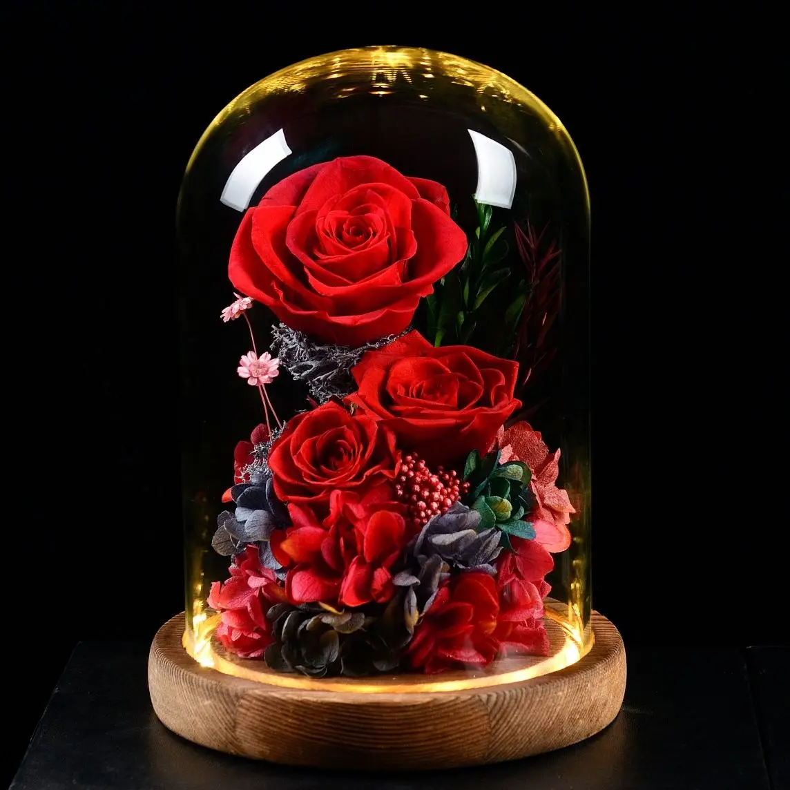 

Beauty and The Beast Preserved Roses Gift Forever Eternal Rose Dried Flowers In Glass LED Light for Valentine Mother's Day Kids