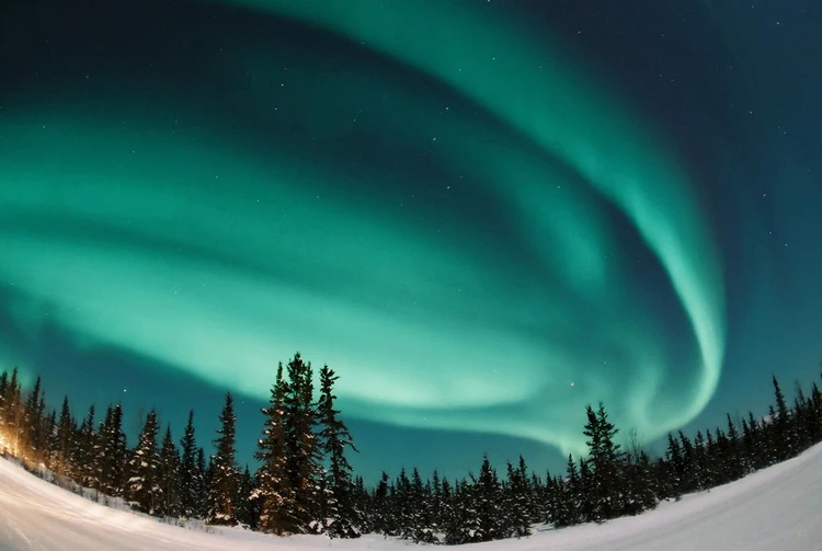 

Пазлы деревянные для взрослых, 1000 шт., AC50PZ