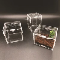 reptile breeding box acrylic transparent spider lizard scorpion entis acrylic assembled insect breathable terrarium