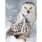 Набор для вышивки 5D сделай сам, мозаика с рисунком птицы, совы, животных, домашний декор, подарок на Рождество, ручная работа