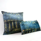 Бархатный Чехол для подушки Starry Night Over The Rhone, чехол для дивана, подушки, чехол для автомобильного стула, двухсторонний чехол с принтом без наполнения