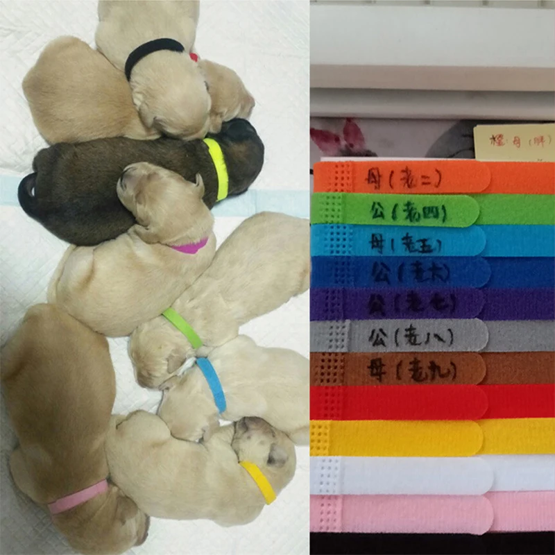 

12Pcs/lot Dog's Collars Puppy Kitten Identification Collar Kitten Whelping ID Collar Bands For Small Dogs Cats Pet Supplies