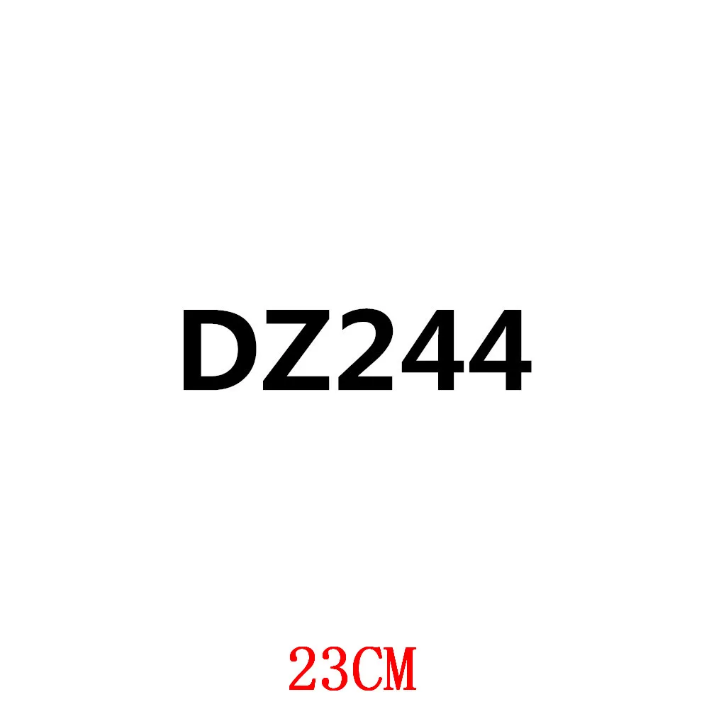 

DZ244-23