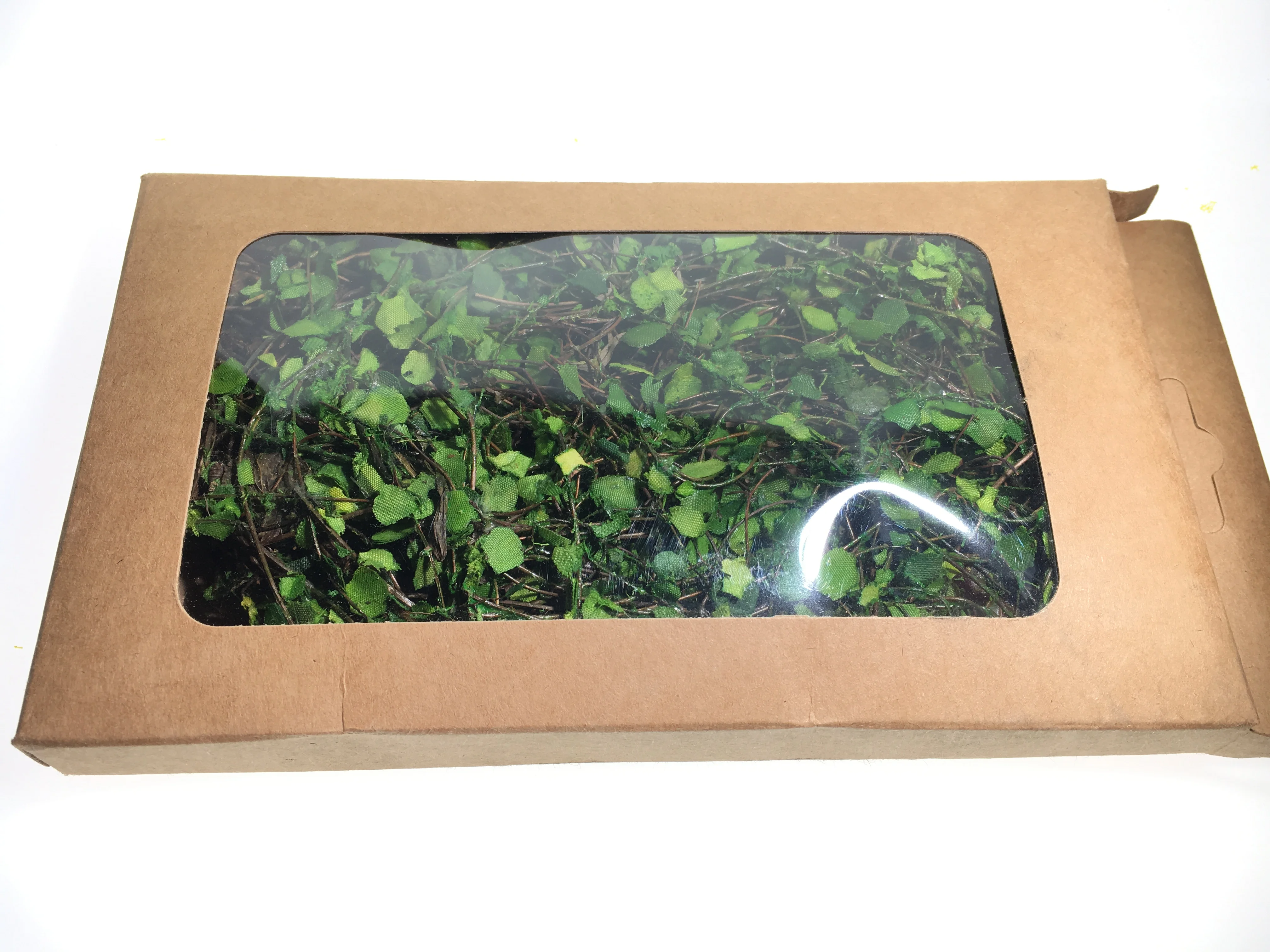 Модель симуляция виноградной лозы водоросли реконструкция сцены для