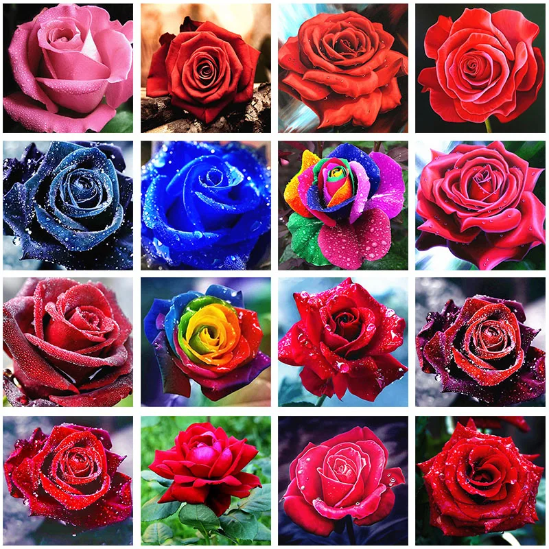 

5D DIY Diamond Painting Cross Stitch Red Rose Embroidery Mosaic Handmade Full Square Round Drill Room Wall Decoration Craft Gift