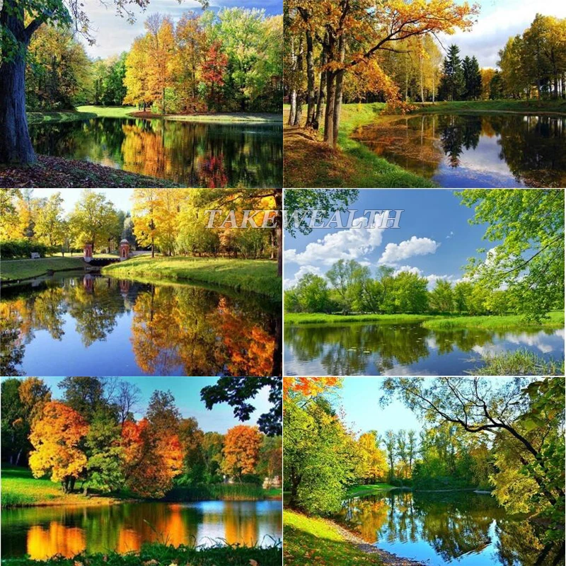 5d diy Алмазная картина полностью квадратная/круглая вышивка горный лес вода