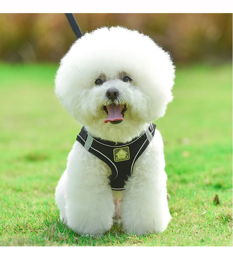 

Adjustable Dog Collars and Harnesses Set Reflective Pet Harnesses Vest Mesh for Small Medium Dog Breathable Cat Accessories