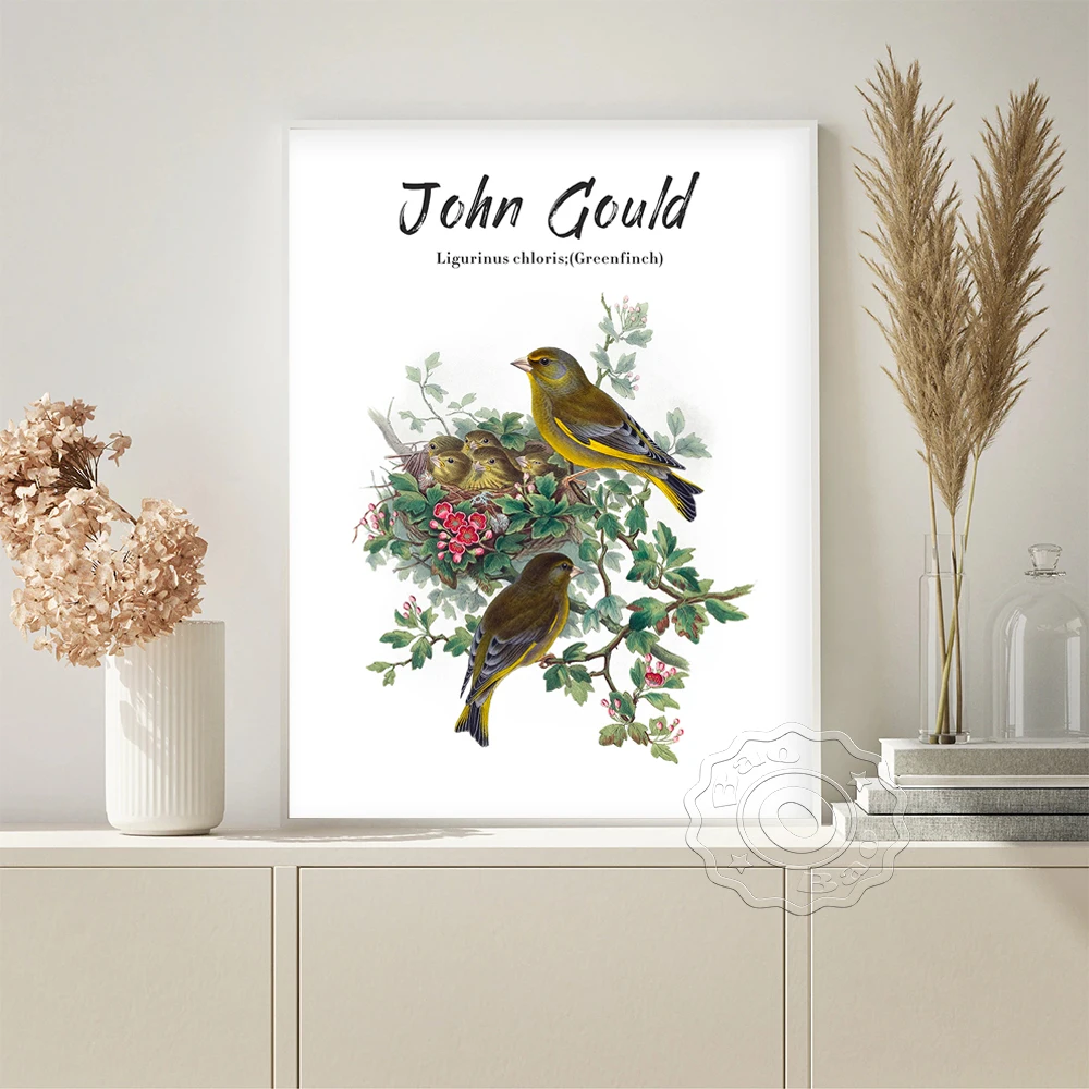 

John Gould Exhibition Museum Poster Greenfinch Bird Retro Wall Art Canvas Painting Living Room Vintage Prints Picture Decor Gift