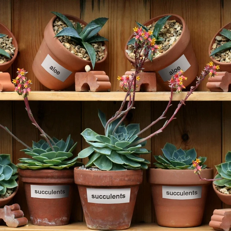 4 шт. 24 мм ламинированные черные на белом Совместимость для TZ TZe Ленты с Brother P пресс