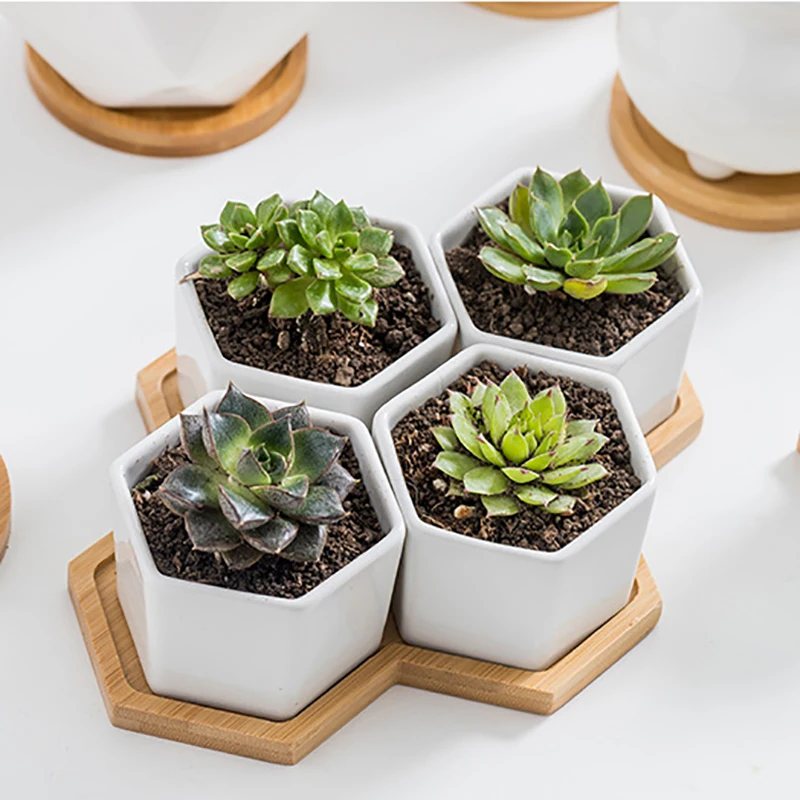 Маленький фарфоровый горшок ваза прямоугольной формы для суккулентов
