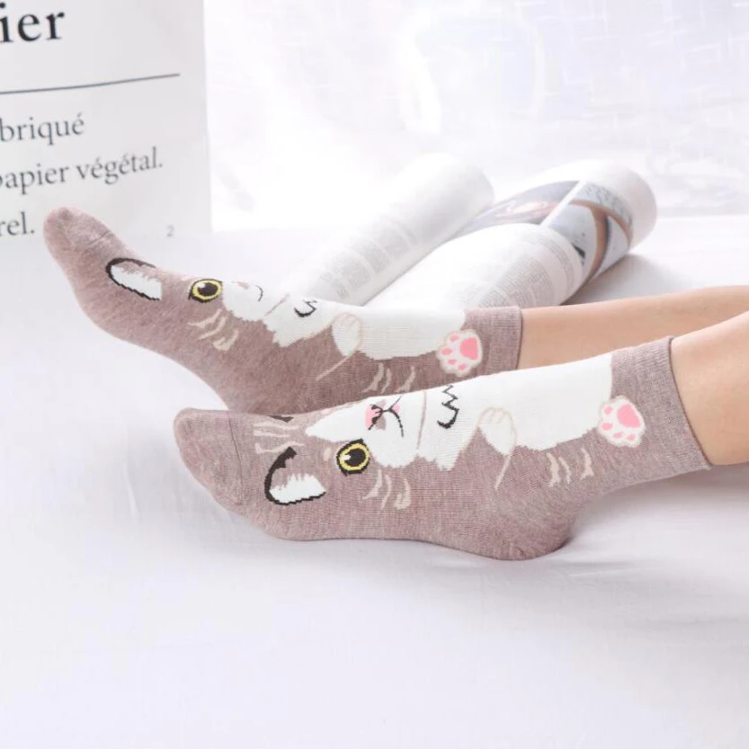 MYORED 5pairs women socks cute funny cat style fashion autumn winter funny socks short ankle sock for girls woman casual dress