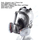 Противотуманная Пылезащитная Полнолицевая маска 6800 для промышленного распыления красок, респиратор с фильтром для защиты от формальдегидов и безопасности работ