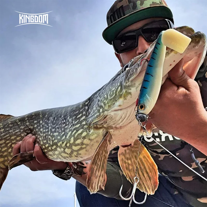 

Kingdom PADDLE Fishing Lures 160mm 40g PVC Material Silicone Artificial T-Tail Jigging Wobblers Soft Sinking Fishing Baits 2pcs