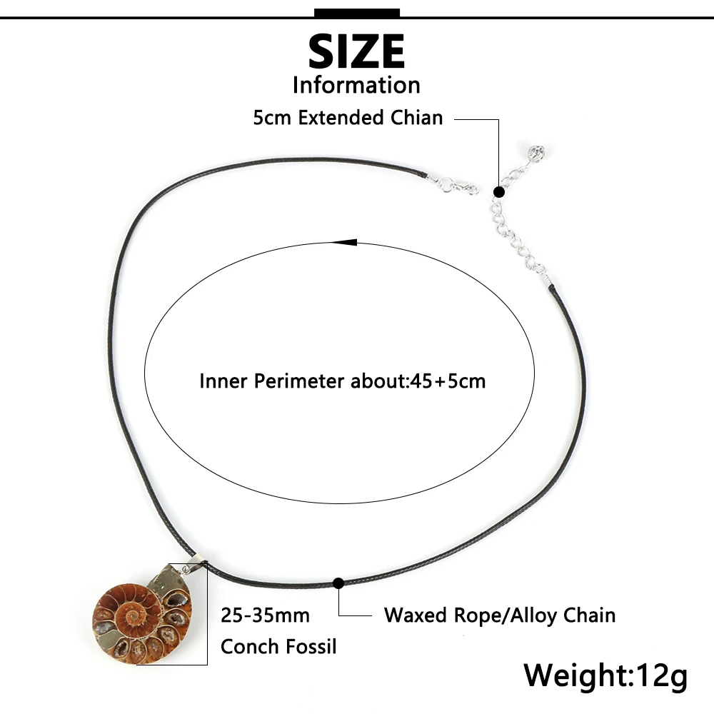 Женский и мужской натуральный окаменелостей аммония кулон Улитка ожерелье океан