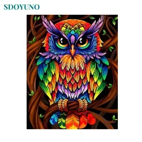 sdoyuno 60x75cm painting by numbers colourful owl diy frameless pictures by numbers on canvas wall art for home decor animals