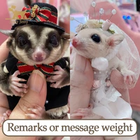 hamster clothes sugar glider dresses clothes for hamsters festive dresses accessories dropshipping center jinny