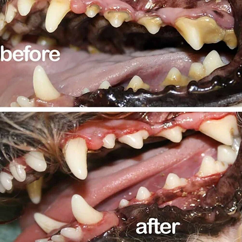 Освежитель воздуха для домашних животных 30 мл | Дом и сад