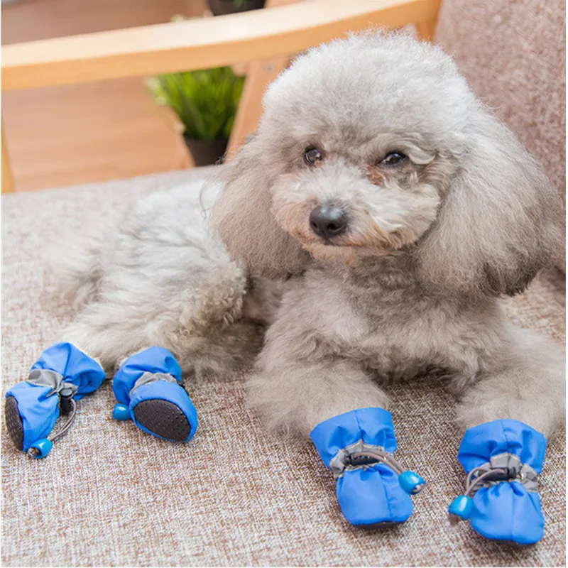 

Chaussure Chien Waterproof Chihuahua Anti-slip Boots Puppy Cat Dog Shoes Socks Botas Sapato Para Cachorro Zapatos Para Perro