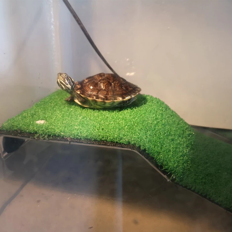 Аквариумный декор Черепаха на платформе акриловая черепаха остров аквариумы мох