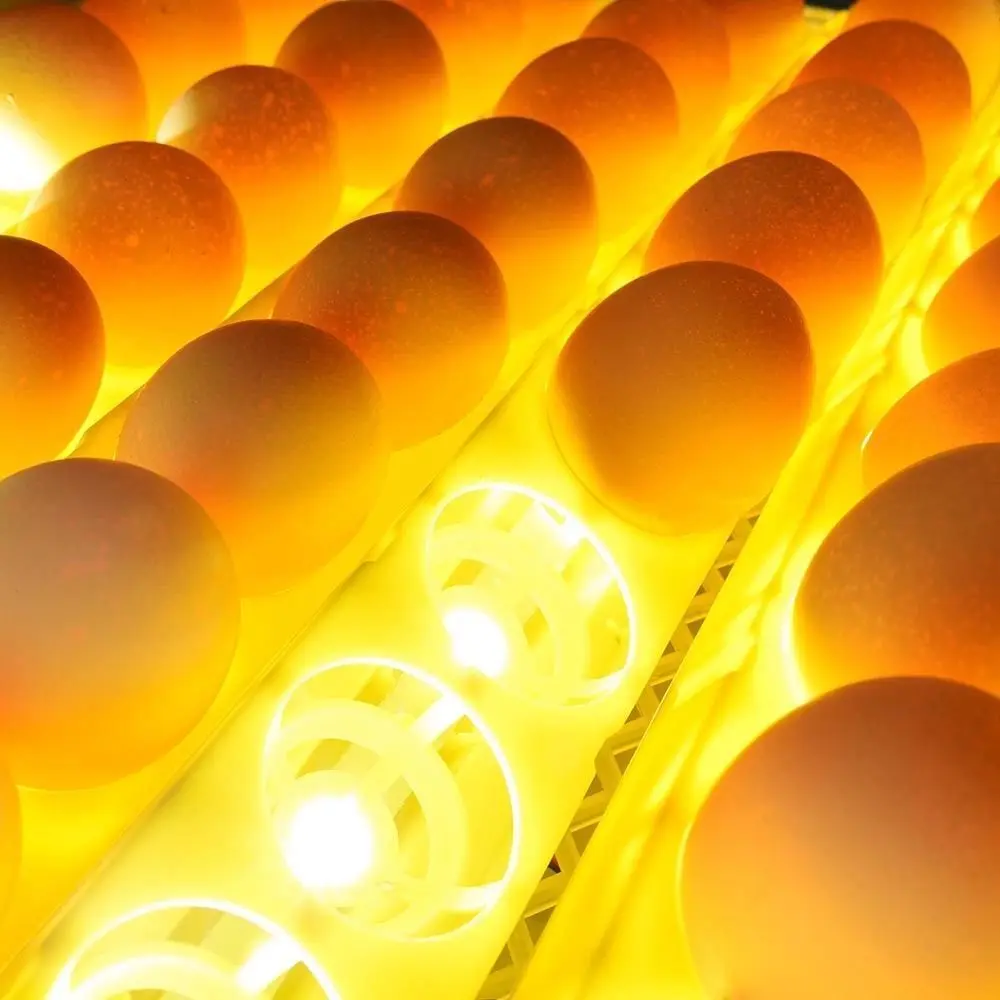 Новейший лучший инкубатор для яиц на ферме 42 дешевая цена автоматический цыплят