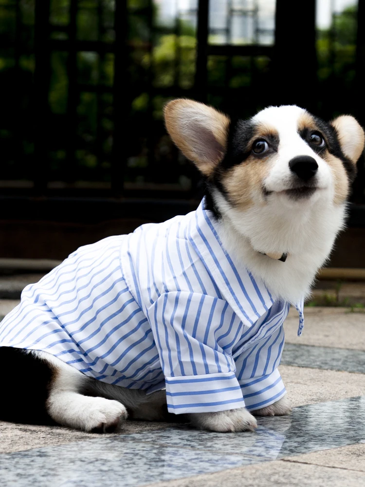 Индивидуальная одежда рубашка для собак летняя Милая в полоску блузка Одежда