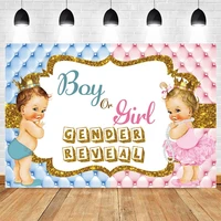 pink blue headboard newborn baby shower boy or girl gender reveal backdrop photography photographic background photozone banner