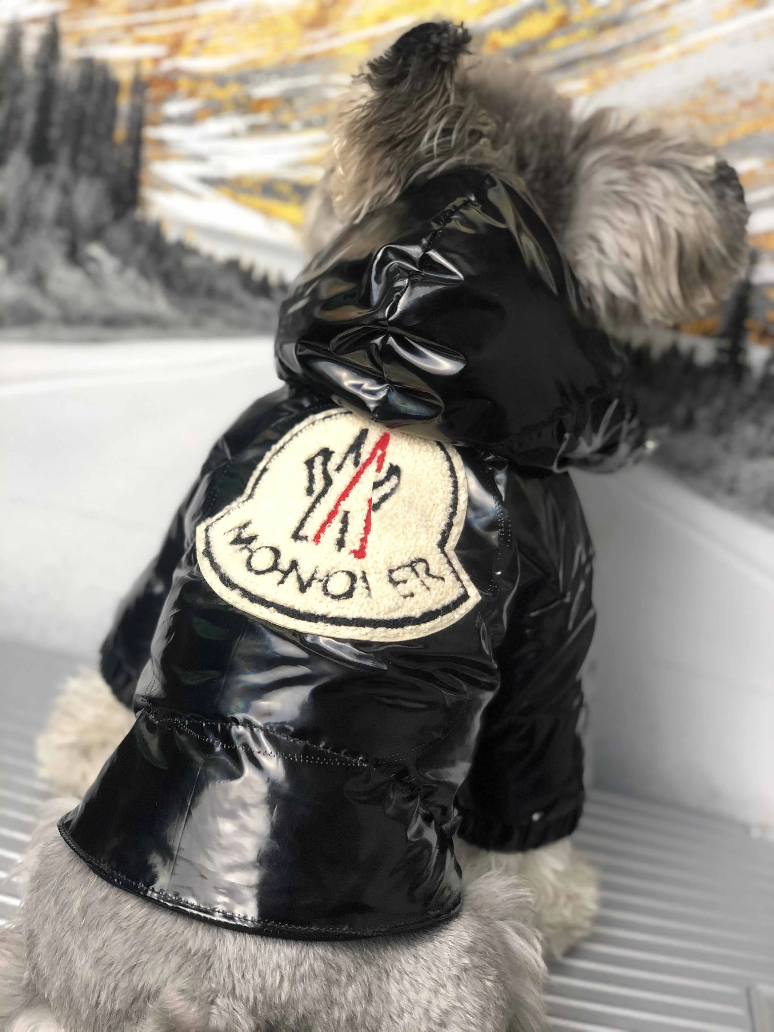 

2020 Dog Clothes Small Dogs Winter Thickening Teddy Schnauzer Pomeranian Pet Clothing Jacket