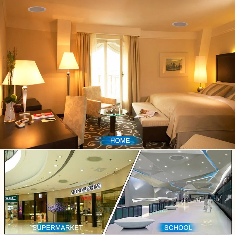 

Coaxial Fxed-resistance Ceiling Speaker Home eEmbedded Wall-mounted Speaker Fixed-pressure Ceiling Speaker