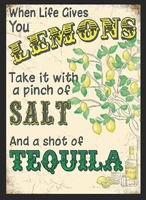 tequila retro metal sign humour pub plaque party vintage gift bar man cave funny