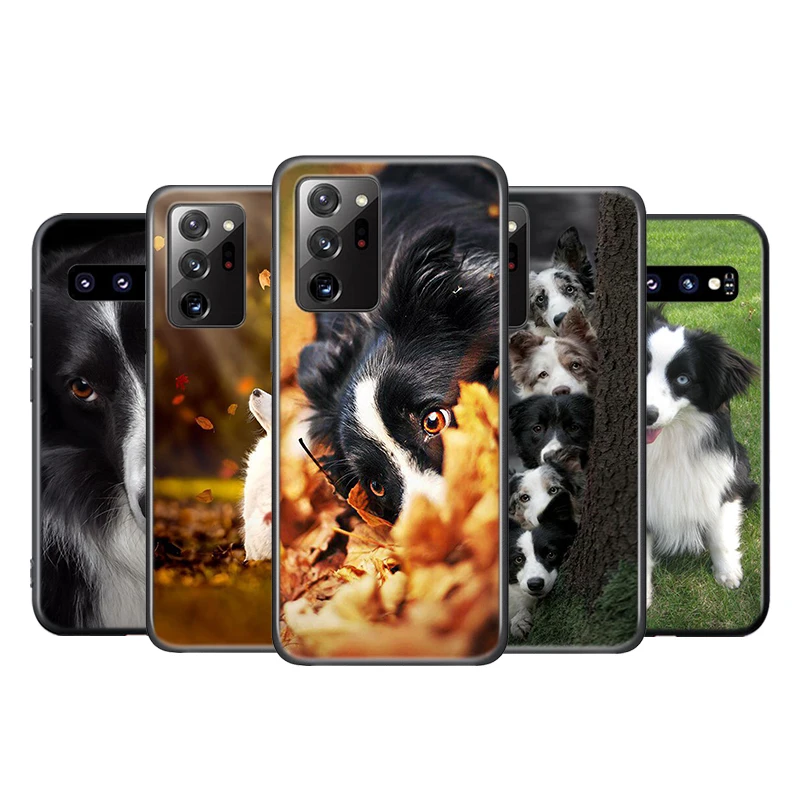 

Border Collie Dog Silicone Cover For Samsung Galaxy S20 FE Ultra S10 S10E Lite S9 S8 S7 S6 Edge Plus Phone Case