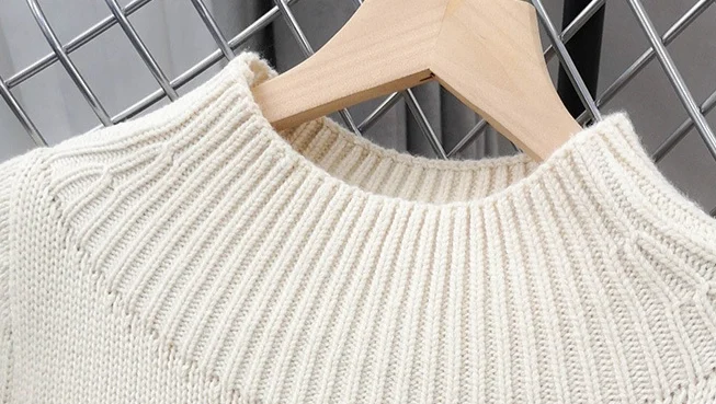 

2021 Spring and Autumn New Long-sleeved Small High-neck Knitted Pullover Loose Wild Sweater