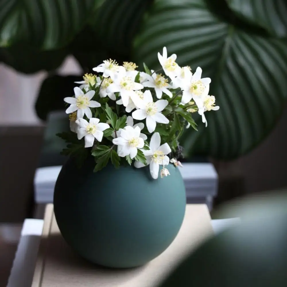 Скандинавская Ваза Morandi винтажная роскошная круглая керамика украшения для