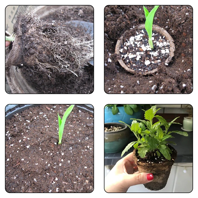 50 шт. 2 4 &quotБумага комнатных растений стартеры для рассады травы семян детской