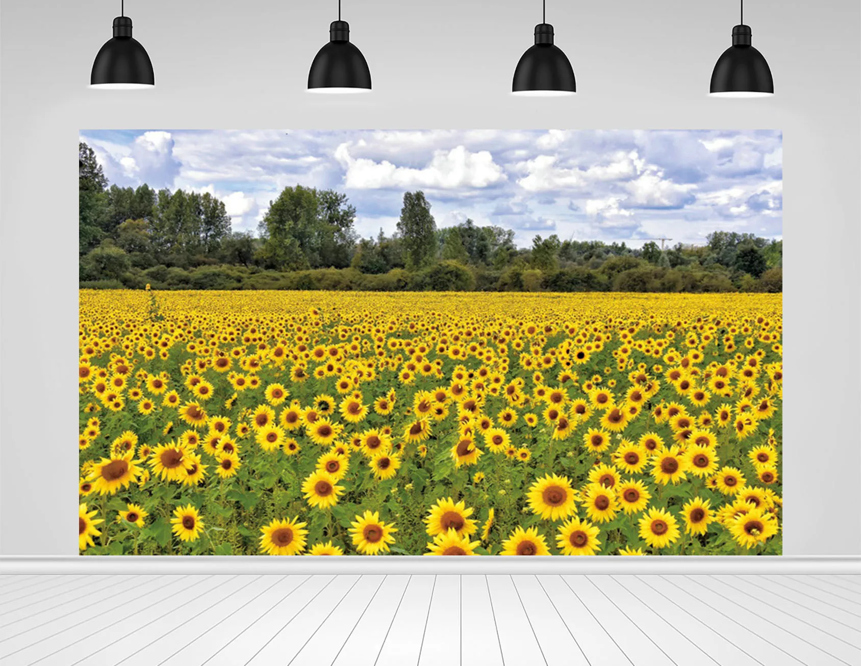 

Scopiso Beautiful landscape picture Beautiful sunflower field Backdrop For Photo Studio Decoration Props Photography Backgrounds
