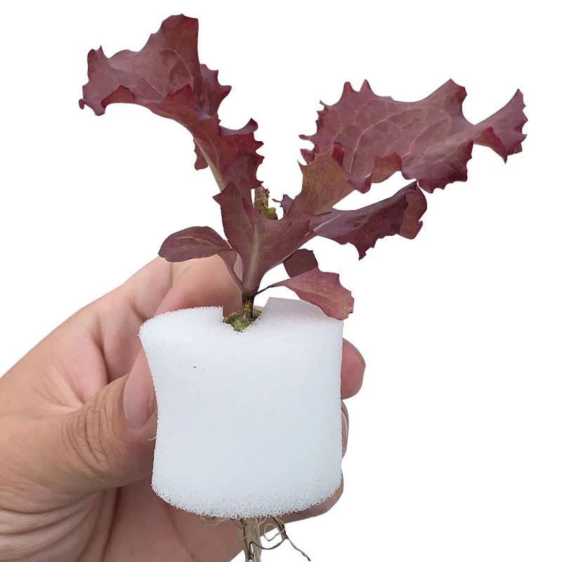 Сверхмощный гидропоники сетчатой горшок чистая чашка корзина аэропонного