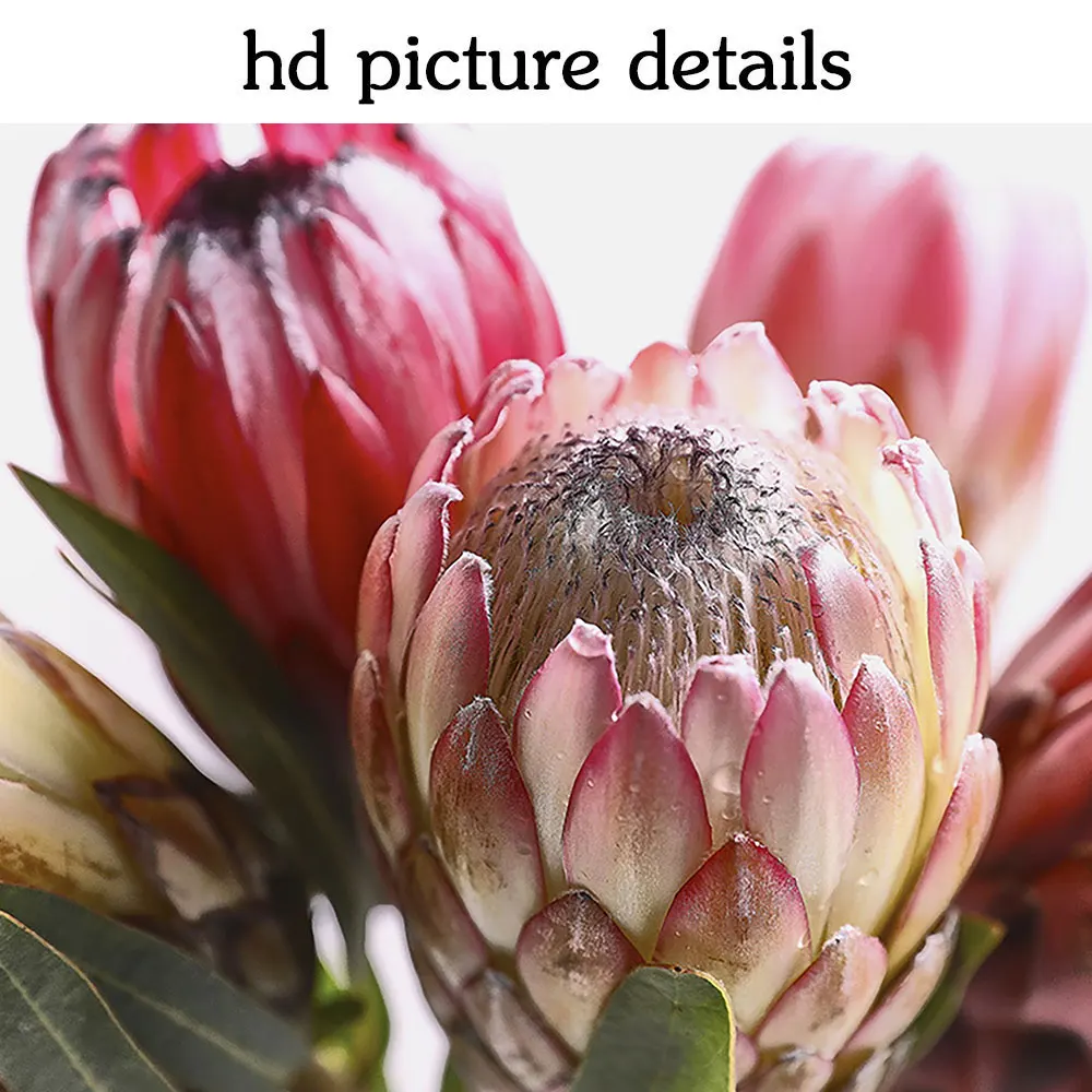 Современные картины на холсте плакаты картина с императорскими цветами