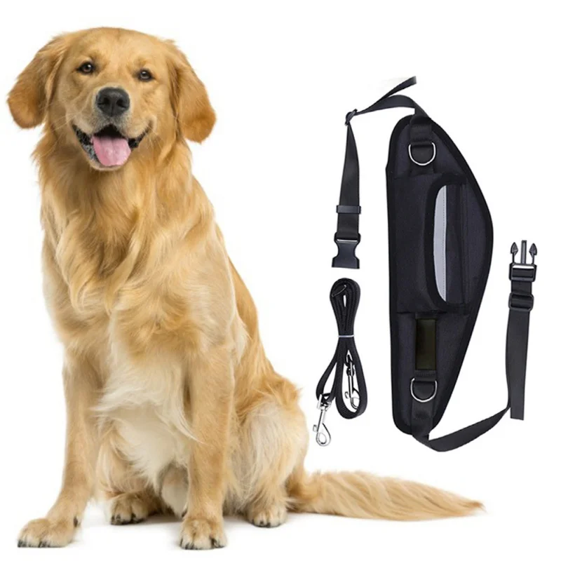 

Pet Training Leashes Outdoor Running Snack Reward Waist Bag Wear Resistance Dog Traction Rope Dog Supplies