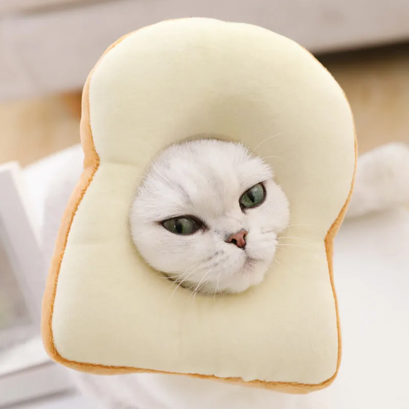 Hoopet ошейник для кошек игрушка ошейники щенков круглый маленьких собак | Дом и сад