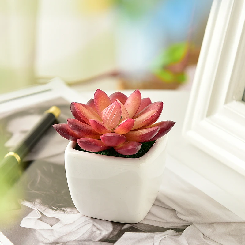 Моделирование искусственных растений кактуса в горшке горшок для суккулентов